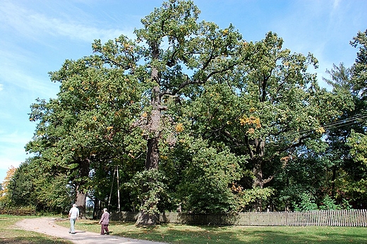 Park w Siemionach